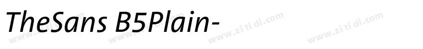 TheSans B5Plain字体转换